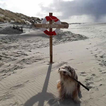 Fischerbalje Borkum Eksteriør billede